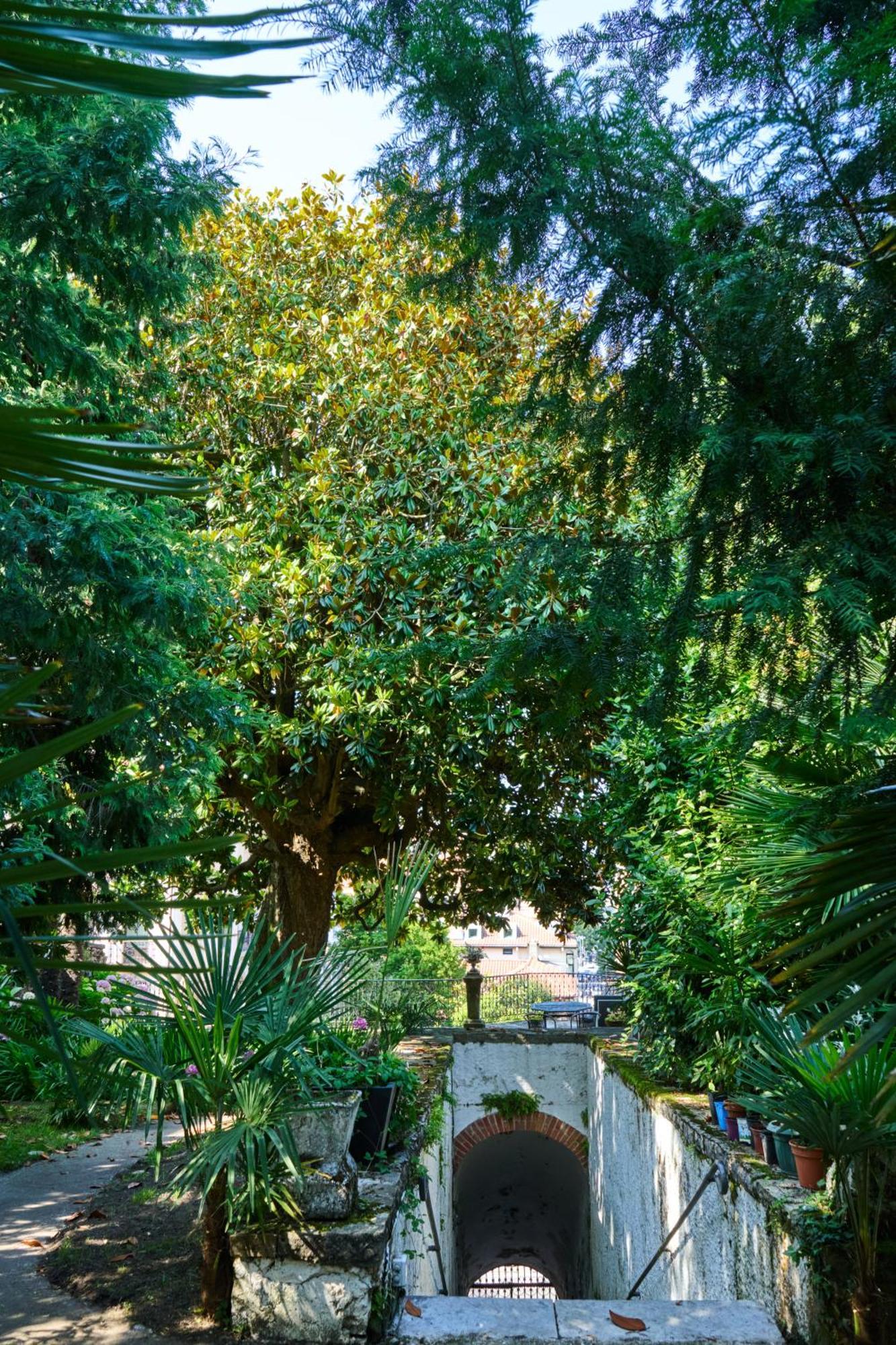 Habitacion Oasis 伊伦 外观 照片